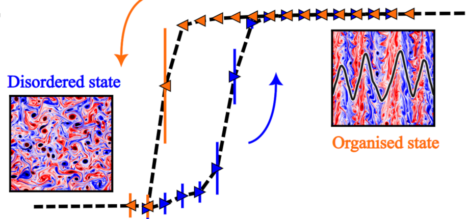 Phase transition between turbulence and zonal flows in the Hasegawa-Wakatani system.
