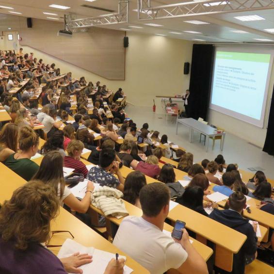 Enseignement