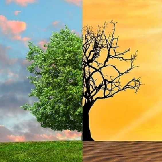 Groupe Climat